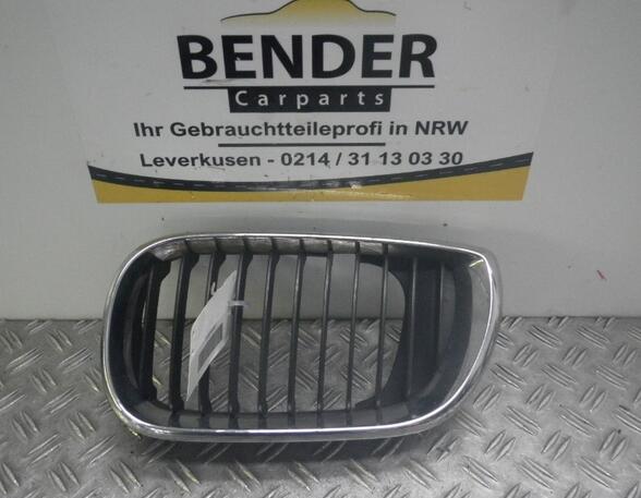 Radiator Grille BMW 3 (E46)