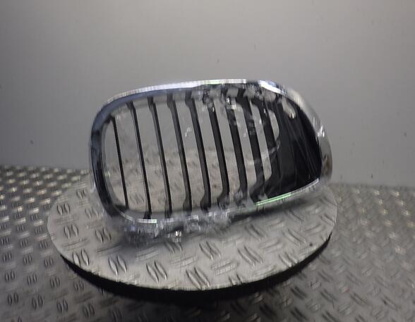 Radiator Grille BMW 3 (E46)