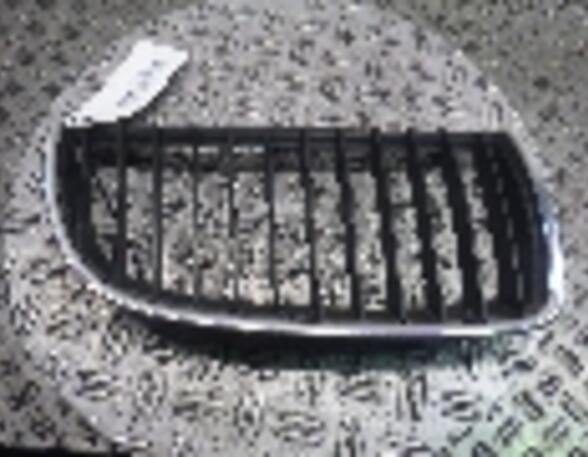 Radiator Grille BMW 3er (E90)