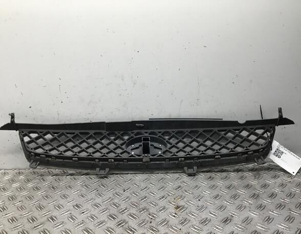 Radiateurgrille FORD Fiesta V (JD, JH)