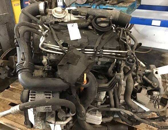 Bare Engine VW GOLF PLUS (5M1, 521)