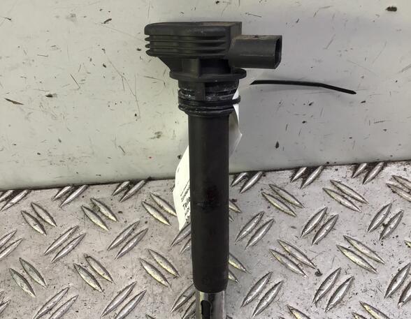 Ignition Coil AUDI A5 (8T3)