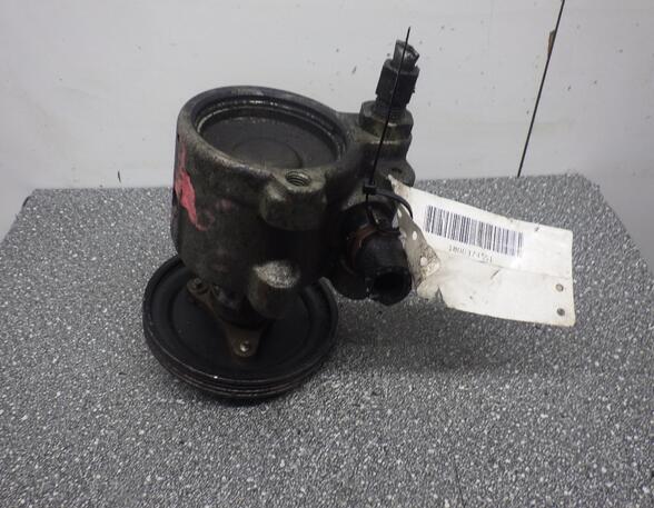 Power steering pump RENAULT 19 II (B/C53_)