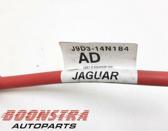 Wiring Harness JAGUAR I-Pace (X590)