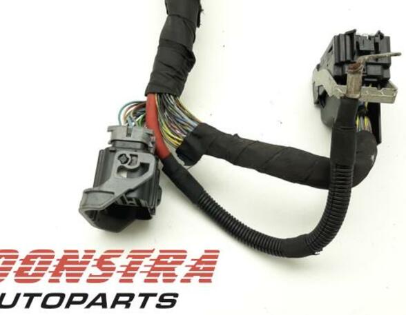 Wiring Harness FORD Fiesta VI (CB1, CCN)