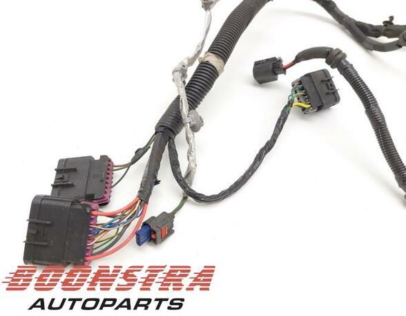 Wiring Harness LAND ROVER Discovery Sport (L550)