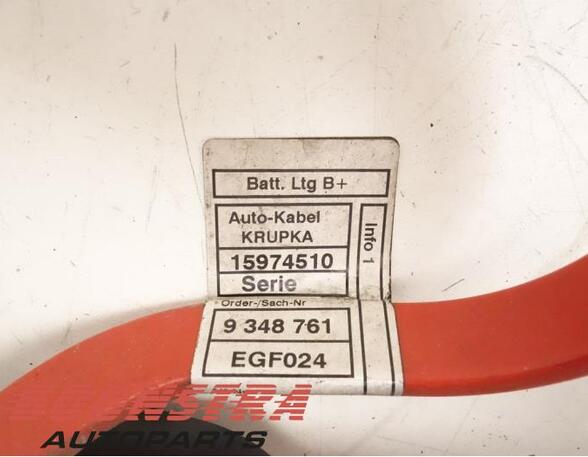 Wiring Harness BMW 2 Coupe (F22, F87)