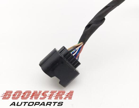Wiring Harness RENAULT Clio V (BF)