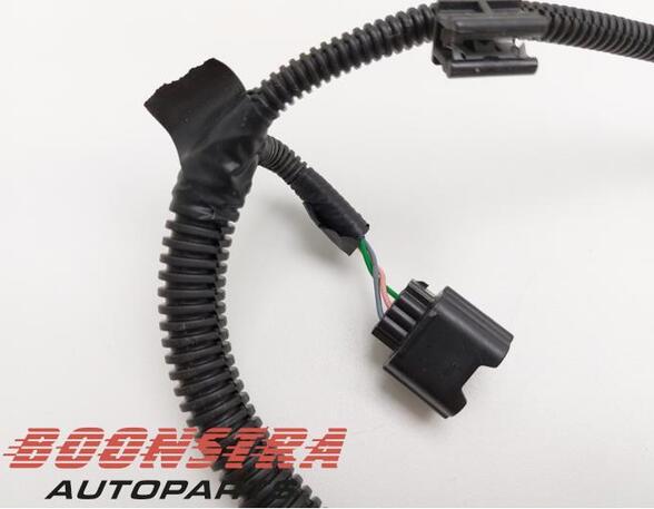Wiring Harness RENAULT Clio V (BF)