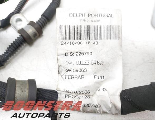 Wiring Harness FERRARI 599 GTB/GTO (--)