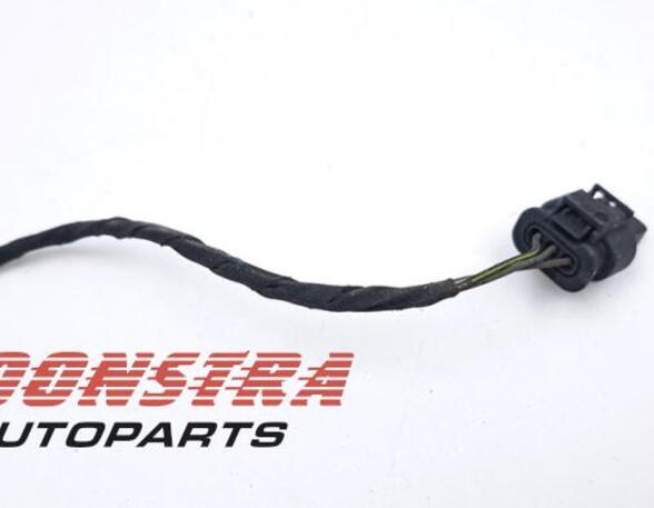 Wiring Harness AUDI A1 (8X1, 8XK), AUDI A1 Sportback (8XA, 8XF)