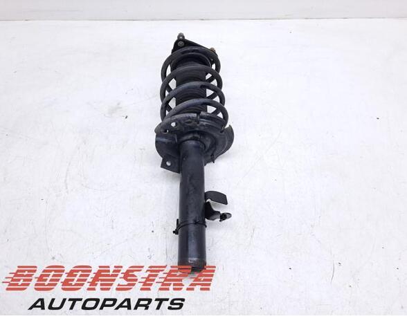 Suspension Strut FORD C-Max II (DXA/CB7, DXA/CEU)