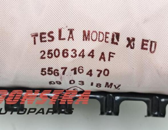 Passagier Airbag TESLA Model X (--), TESLA Model X (5YJX)