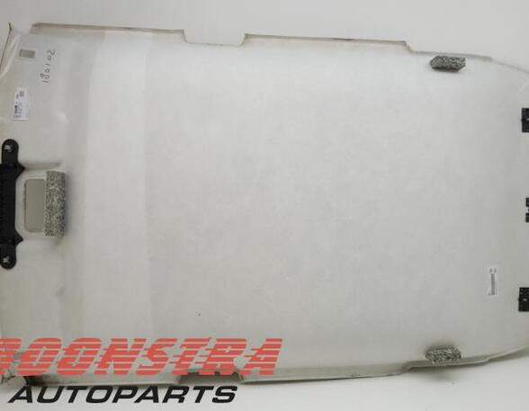 Front Interior Roof Trim Panel VW Polo (AW1, BZ1)