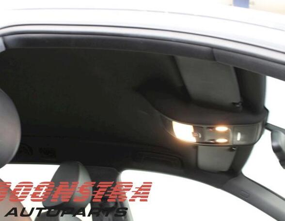 Front Interior Roof Trim Panel AUDI A4 Avant (8K5, B8), AUDI A5 Sportback (8TA)