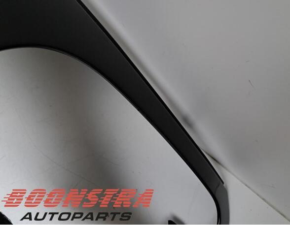 Spatbord FERRARI 599 GTB/GTO (--)