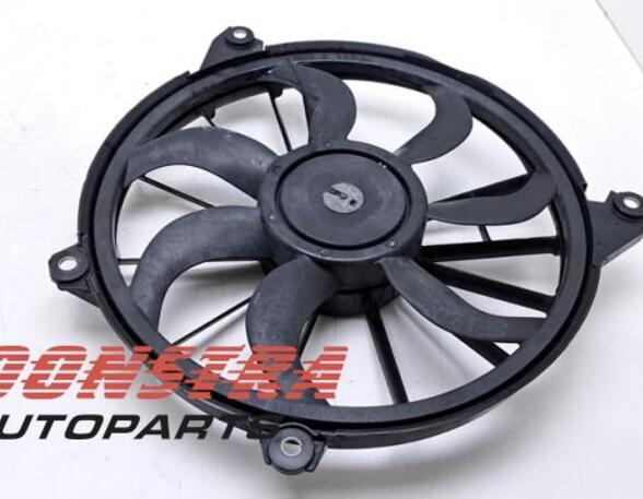 Radiator Electric Fan  Motor FIAT Freemont (345)