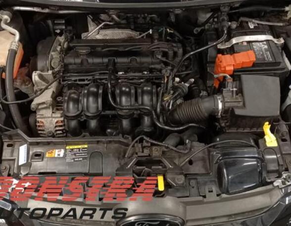P19547973 Motor ohne Anbauteile (Benzin) FORD Fiesta VI (CB1, CCN) 1537995