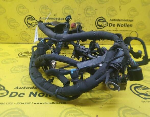Wiring Harness FORD Ecosport (--)
