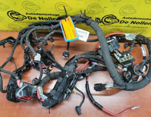 Wiring Harness FORD Fiesta VI (CB1, CCN)