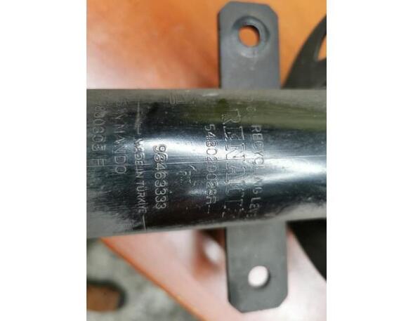 Shock Absorber FIAT Talento Kasten (296)