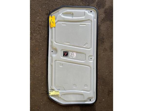Vloeren kofferbak RENAULT Twingo III (BCM)