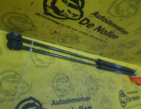 Bootlid (Tailgate) Gas Strut Spring FIAT Croma (194)