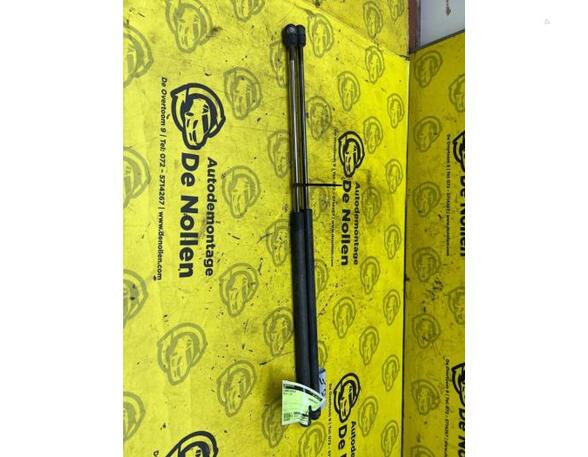 Bootlid (Tailgate) Gas Strut Spring FORD Focus C-Max (--), FORD C-Max (DM2), FORD Kuga I (--), FORD Kuga II (DM2)