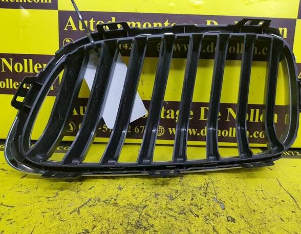 Radiator Grille BMW 2 Coupe (F22, F87)