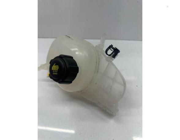 Coolant Expansion Tank RENAULT Twingo III (BCM)