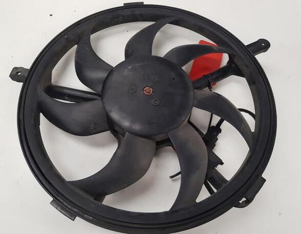 Radiator Electric Fan  Motor MINI Mini (R56)