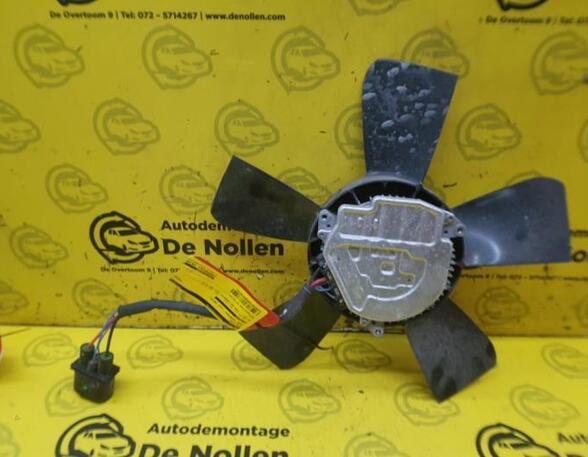 Radiator Electric Fan  Motor JEEP Compass (M6, MP)