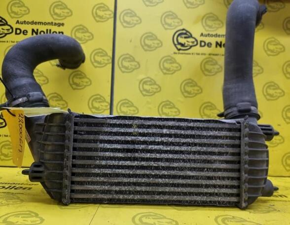 Intercooler PEUGEOT Expert Kasten (VF3A, VF3U, VF3X), PEUGEOT Expert Pritsche/Fahrgestell (--)