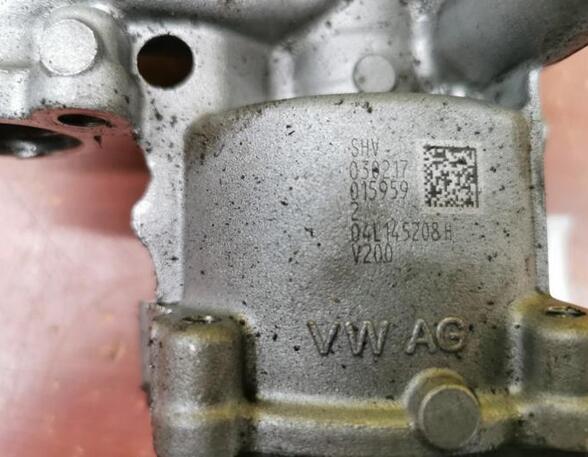 Oil Pump VW Golf VII (5G1, BE1, BE2, BQ1)