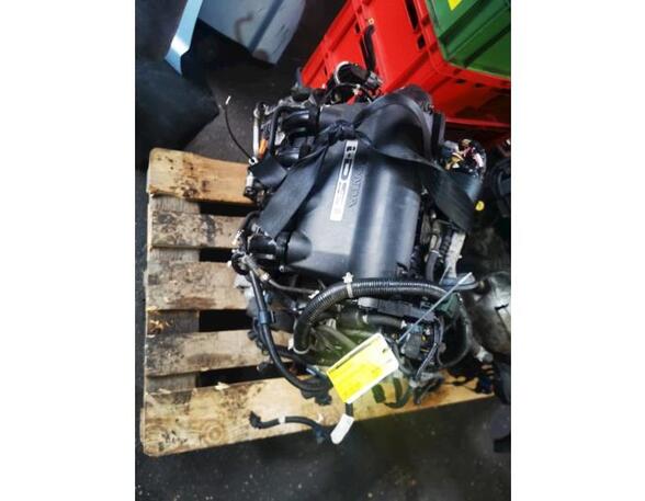 P11557152 Motor ohne Anbauteile (Benzin) HONDA Jazz II (GD, GE) COMPLETEMOTOR