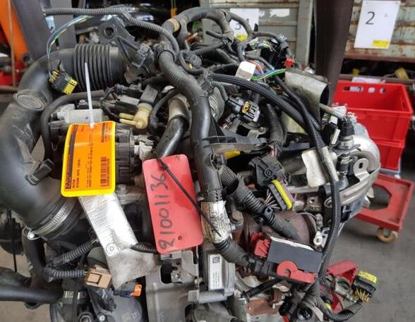 P15858067 Motor ohne Anbauteile (Diesel) NISSAN Note (E12) K9K892