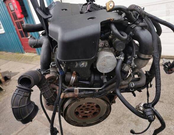 P20022053 Motor ohne Anbauteile (Diesel) SUZUKI Swift III (EZ, MZ)