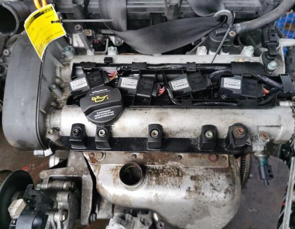 P20252493 Motor ohne Anbauteile (Benzin) VW Golf IV (1J)