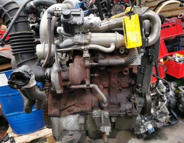 P20375560 Motor ohne Anbauteile (Diesel) RENAULT Kangoo Rapid (FW0)