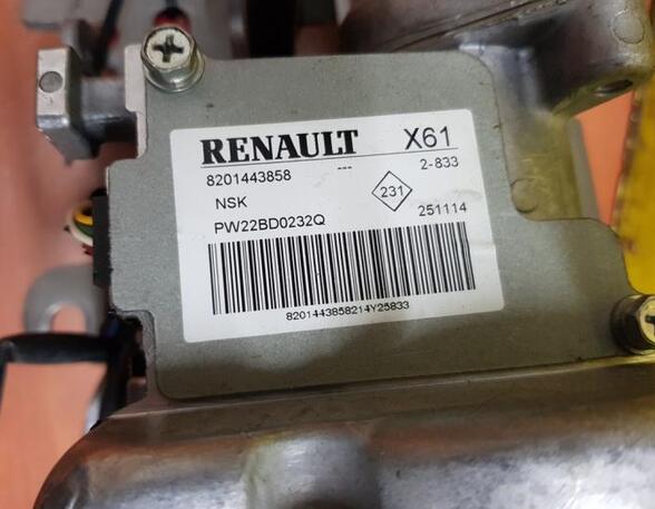 Power steering pump RENAULT Kangoo/Grand Kangoo (KW0/1), RENAULT Kangoo Be Bop (KW0/1)