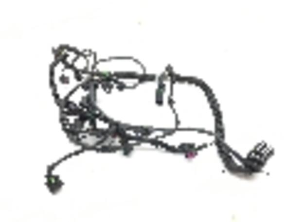 Wiring Harness SKODA Fabia II (542)