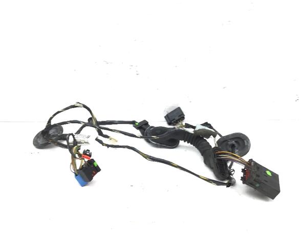 Wiring Harness FORD C-Max (DM2), FORD Focus C-Max (--)