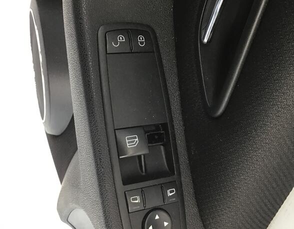 Door Card (Door Panel) MERCEDES-BENZ A-Klasse (W169)