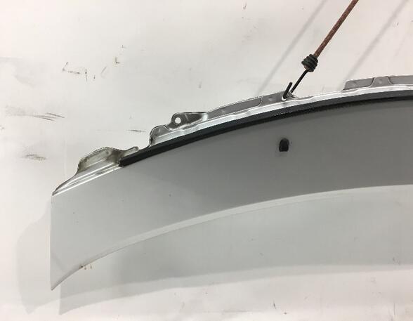Scuttle Panel (Water Deflector) SMART Forfour (454)