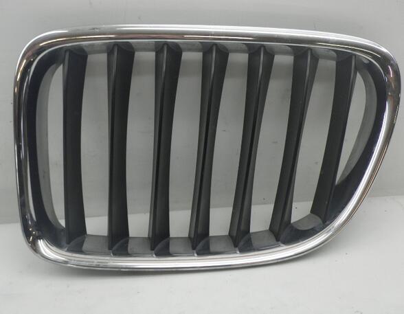 Radiator Grille BMW X1 (E84)