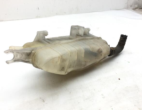 Coolant Expansion Tank RENAULT Clio III (BR0/1, CR0/1)
