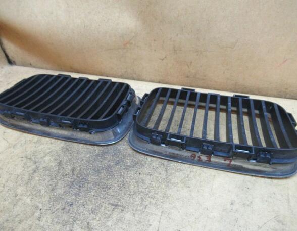 Radiateurgrille BMW 3er Compact (E36)