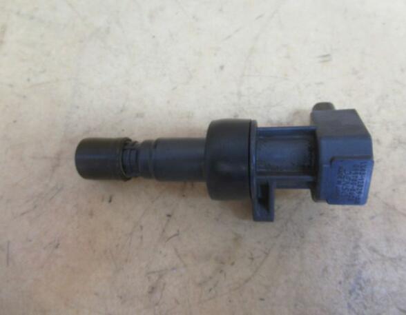 Ignition Coil JAGUAR X-Type (CF1)