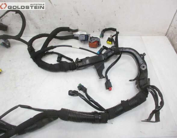 Engine Wiring Harness CITROËN C3 Picasso (--)