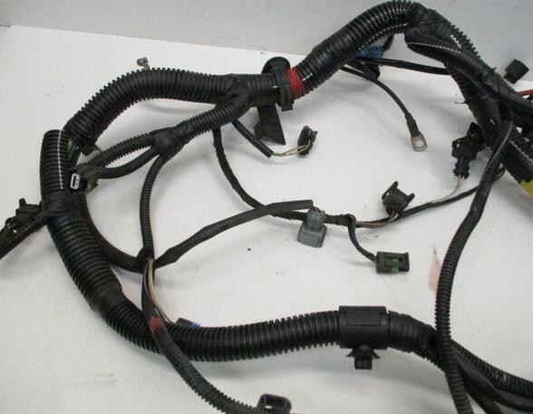 Engine Wiring Harness DACIA Sandero (--)